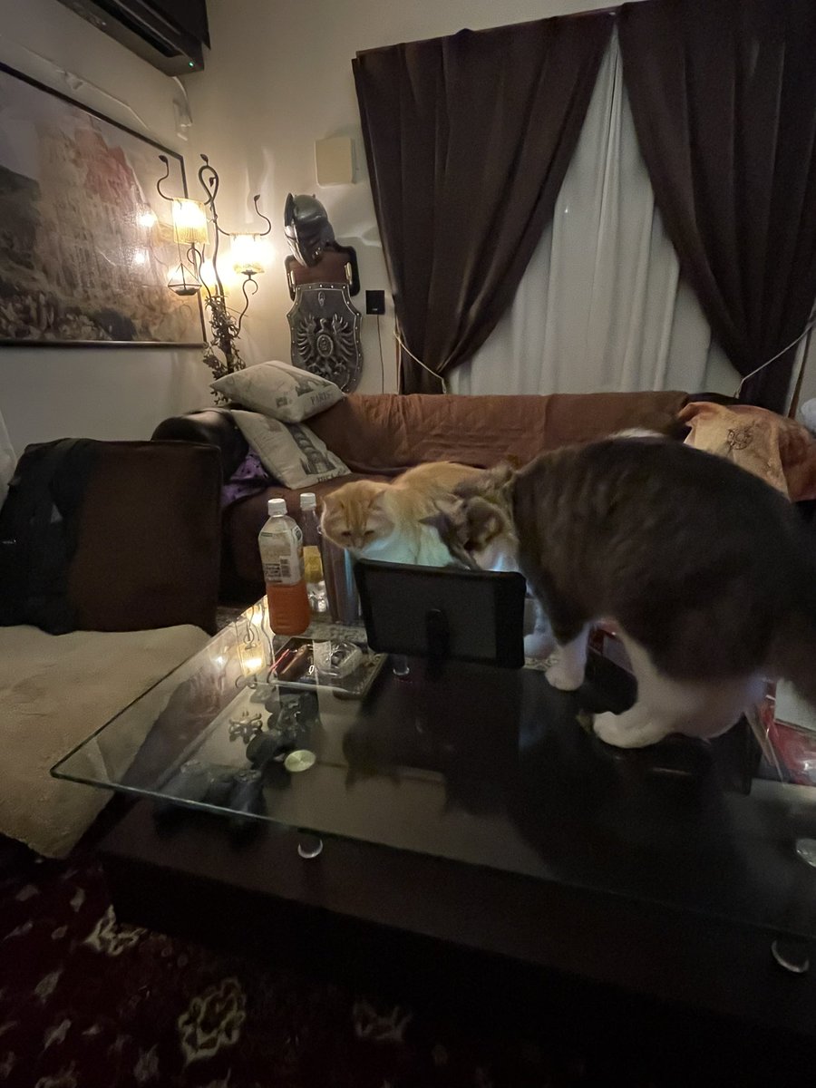 トイレ行ってる間にオンライン飲み会が今日イチ盛り上がってました（笑) 