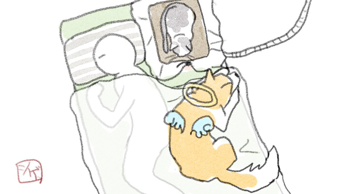 先日寝てるときに、布団の上から尻にくっついてる気配して『だいたい猫コタツなのにめずらしいなぁ』と思ったけどよく考えたらお彼岸だった 