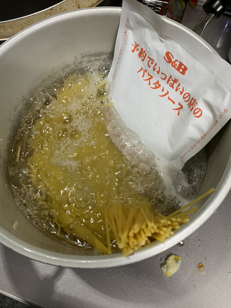 ポケットモンスター これを良しとする人 / しない人 