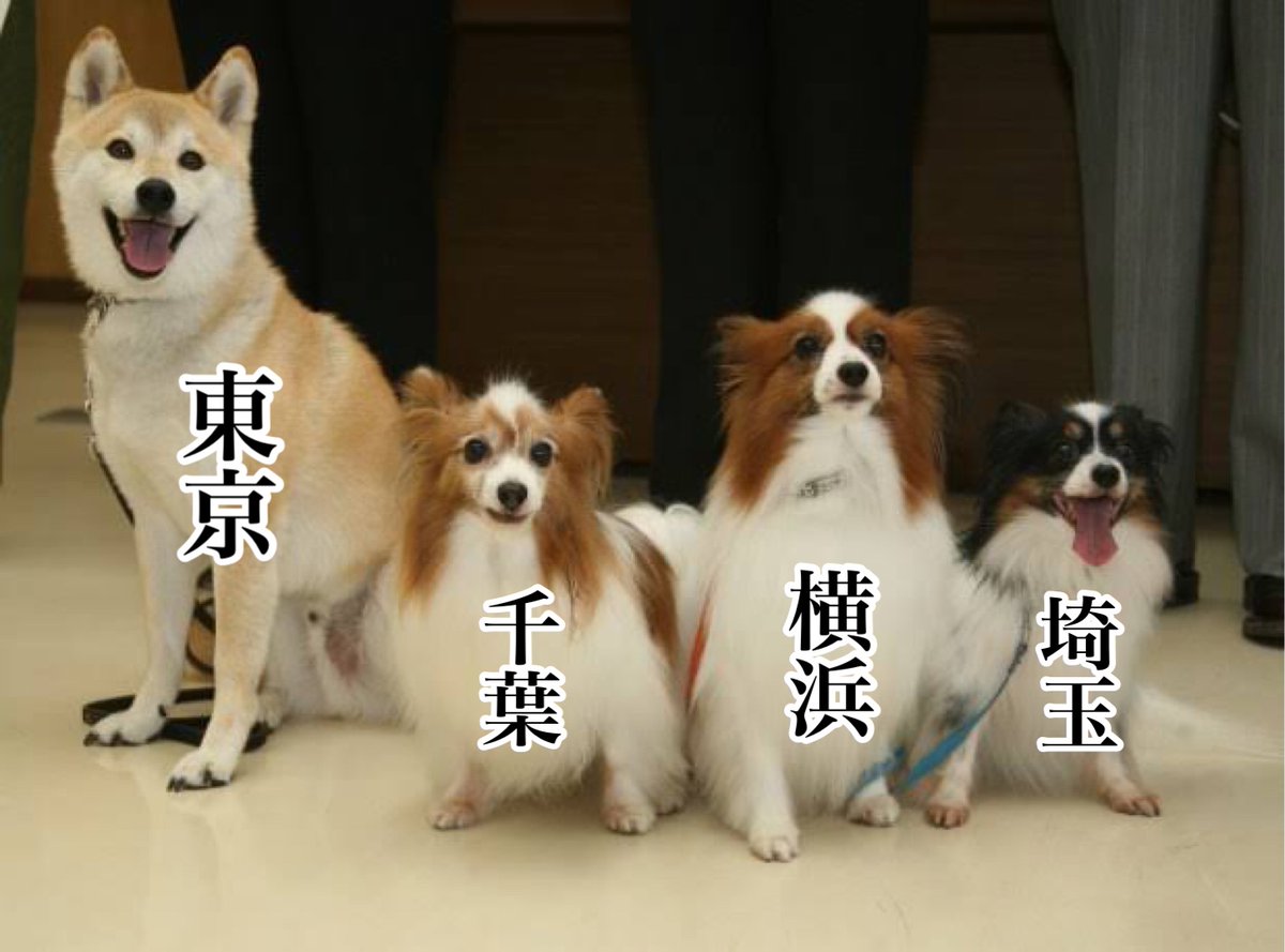 犬で見る主な地方の関係 