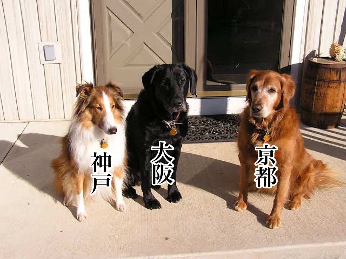 犬で見る主な地方の関係 