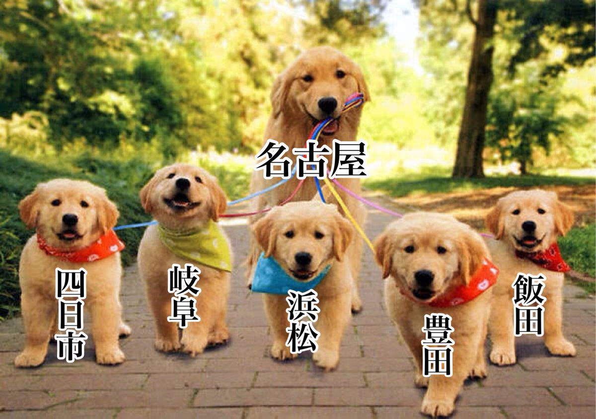 犬で見る主な地方の関係 