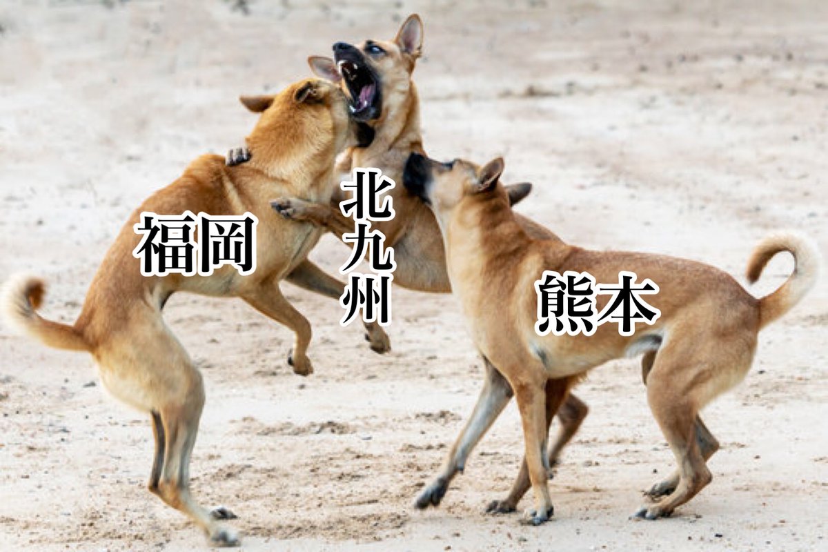 犬で見る主な地方の関係 