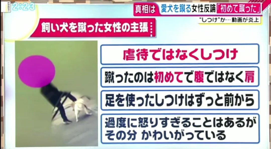 犬を蹴りあげ虐待する女性の動画ツイートが拡散され、その結果警察や動物保護団体が動いて無事に犬が保護された件、女性は保護の際に包丁を振り回したり火をつけてやると脅迫してたけど即日釈放されてさっそく保護団体に犬を返すよう電話で罵倒し、テレビでは虐待ではなくしつけだと主張中…