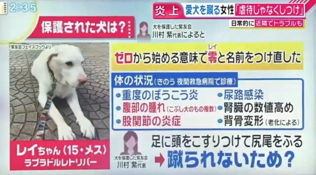 犬を蹴りあげ虐待する女性の動画ツイートが拡散され、その結果警察や動物保護団体が動いて無事に犬が保護された件、女性は保護の際に包丁を振り回したり火をつけてやると脅迫してたけど即日釈放されてさっそく保護団体に犬を返すよう電話で罵倒し、テレビでは虐待ではなくしつけだと主張中…