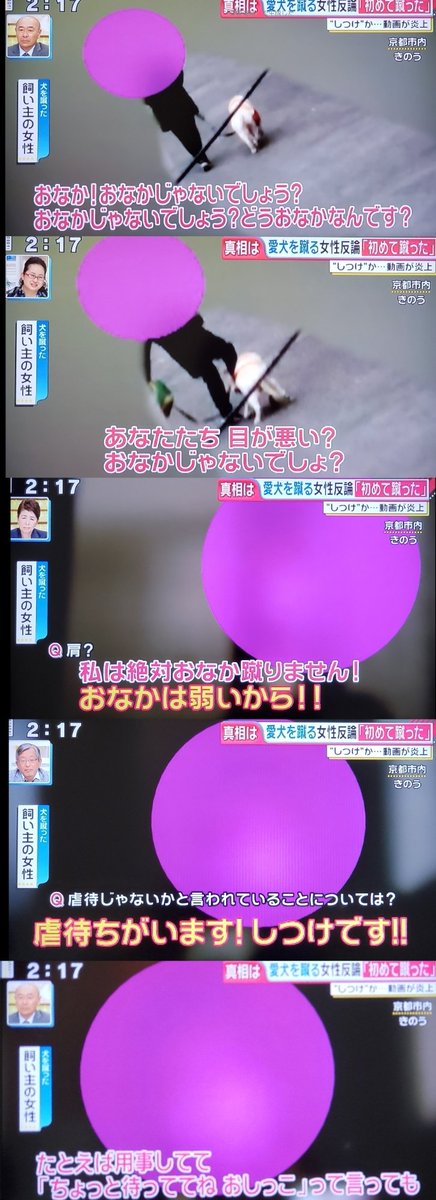 犬を蹴りあげ虐待する女性の動画ツイートが拡散され、その結果警察や動物保護団体が動いて無事に犬が保護された件、女性は保護の際に包丁を振り回したり火をつけてやると脅迫してたけど即日釈放されてさっそく保護団体に犬を返すよう電話で罵倒し、テレビでは虐待ではなくしつけだと主張中…