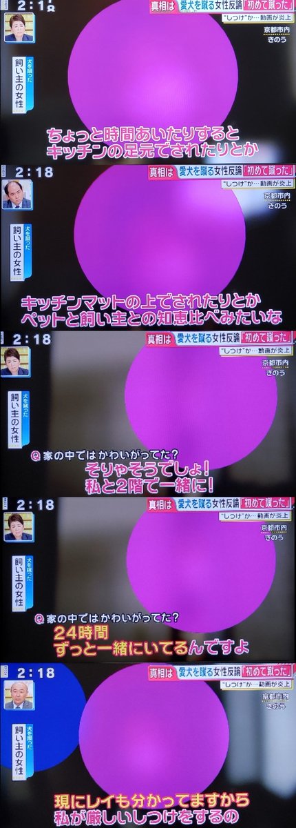 犬を蹴りあげ虐待する女性の動画ツイートが拡散され、その結果警察や動物保護団体が動いて無事に犬が保護された件、女性は保護の際に包丁を振り回したり火をつけてやると脅迫してたけど即日釈放されてさっそく保護団体に犬を返すよう電話で罵倒し、テレビでは虐待ではなくしつけだと主張中…