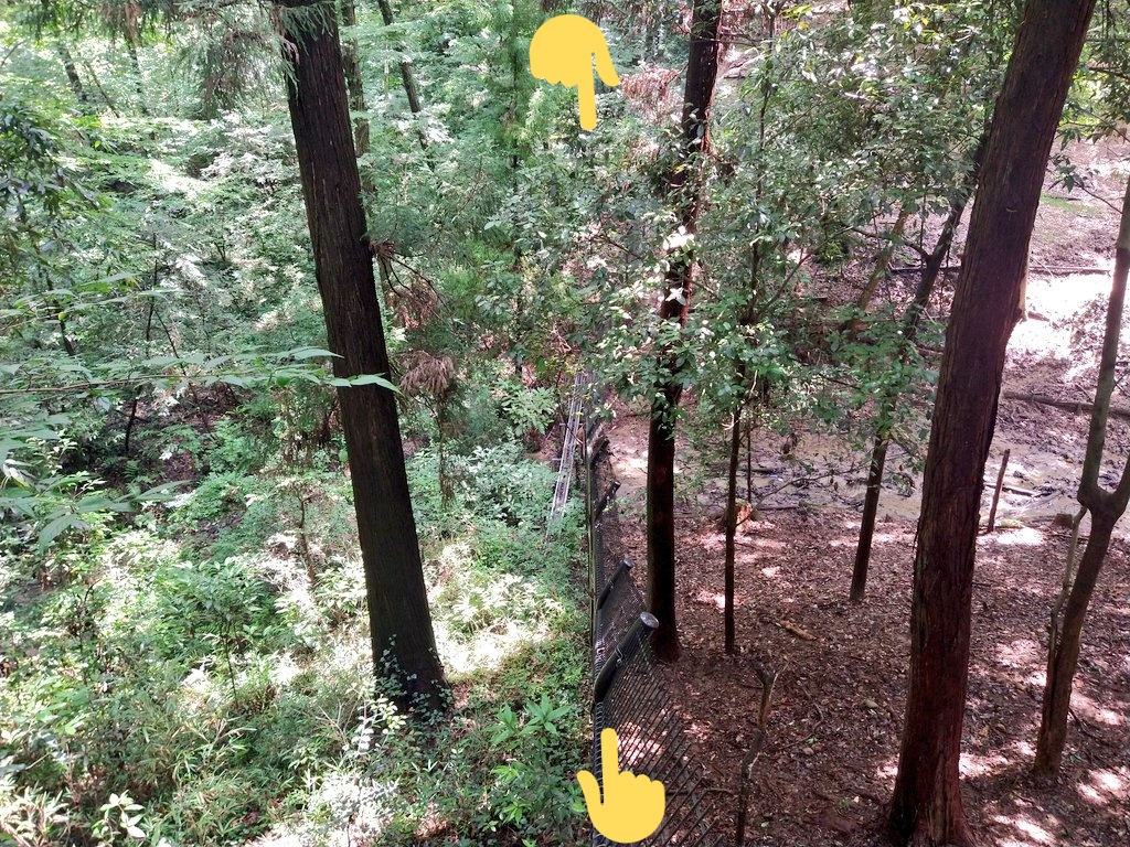 動物園の面白い展示 鹿のいる森といない森の比較 