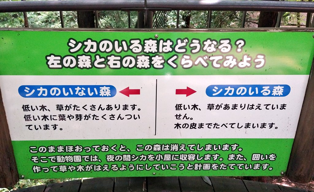 動物園の面白い展示 鹿のいる森といない森の比較 
