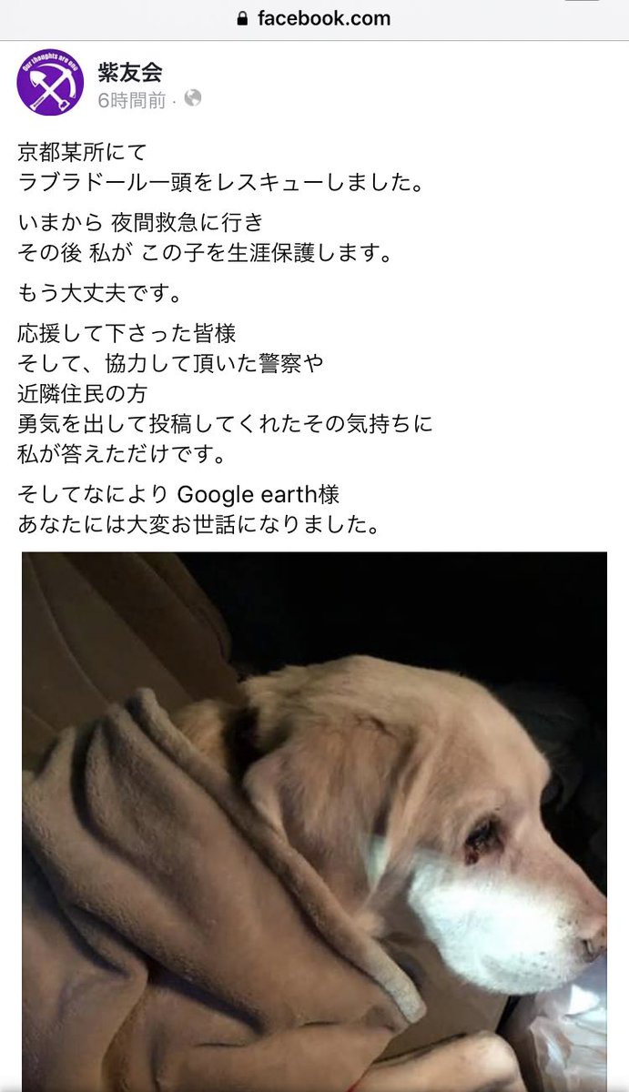 【お知らせ】先日ツイートした京都の飼い主により虐待されていた犬が無事に保護されました