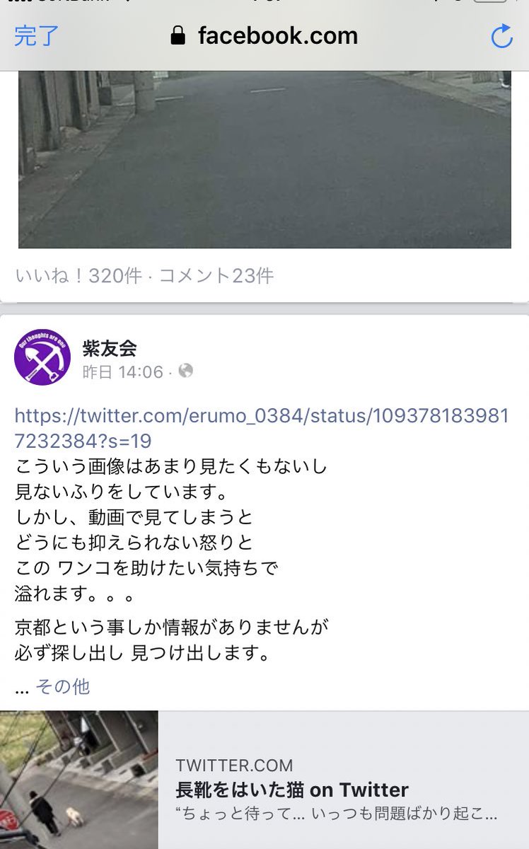 【お知らせ】先日ツイートした京都の飼い主により虐待されていた犬が無事に保護されました