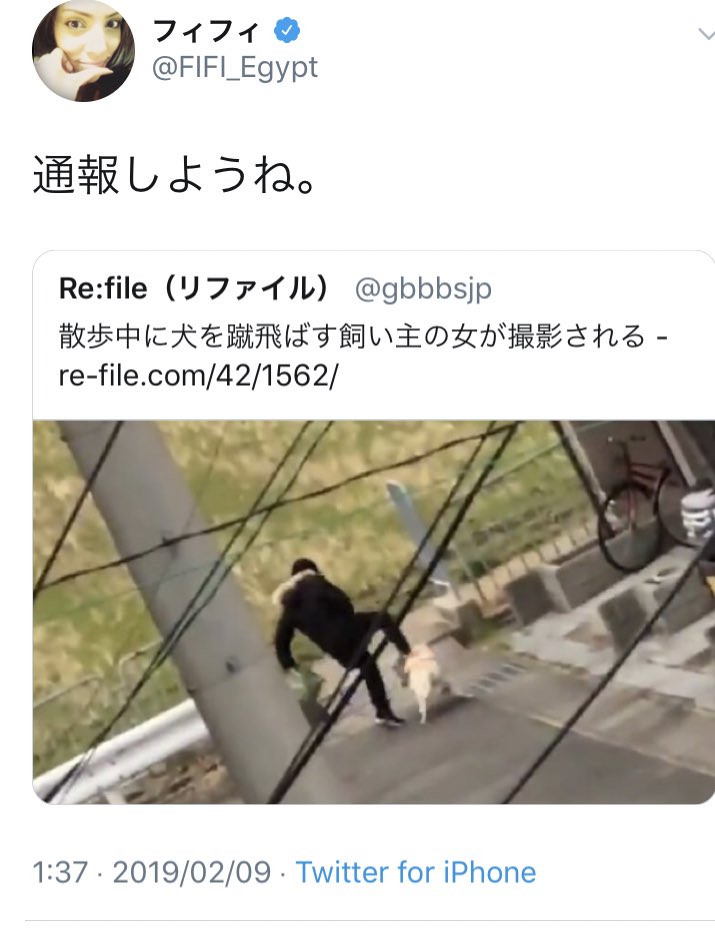 【お知らせ】先日ツイートした京都の飼い主により虐待されていた犬が無事に保護されました