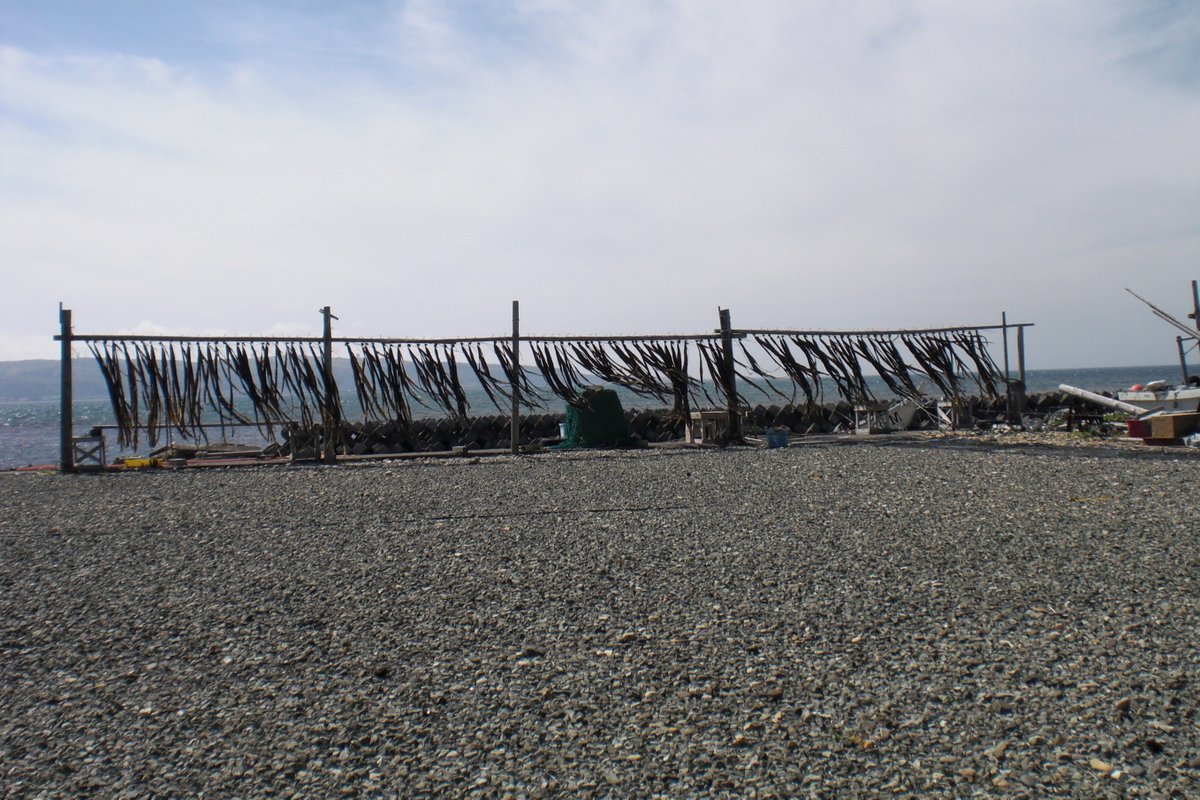  リツイートお願いします( ´ ▽ ` )ﾉ 