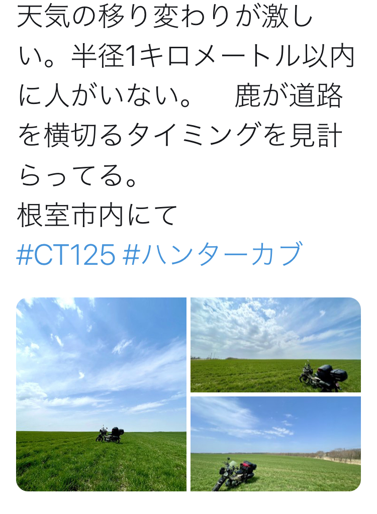  リツイートお願いします( ´ ▽ ` )ﾉ 