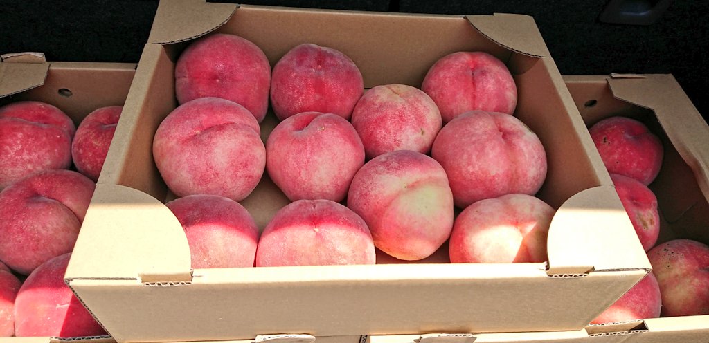 これは機密事項なのですが、今頃からお盆頃まで桃が最盛期で、普通に出荷されない「ハネもの」が現地で売ってるんですけど、1箱500~600円から買えちゃうんですよね