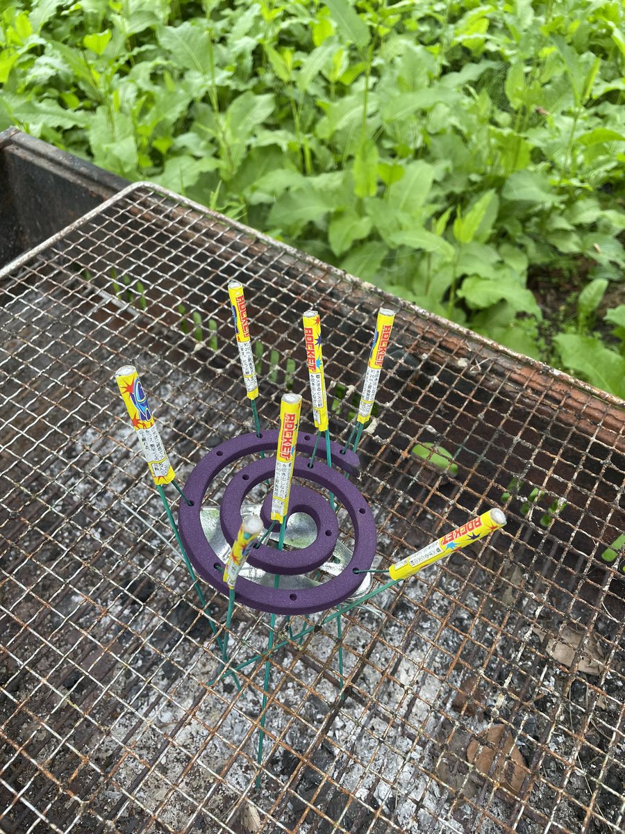 遠くの畑はカラスの相手してられないので 