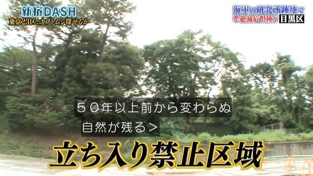 農水省→承認 防衛省→承認 外務省→承認 国交省→承認 財務省→承認 内閣府→承認  いよいよもって国造りするぞこの人達 #鉄腕DASH 