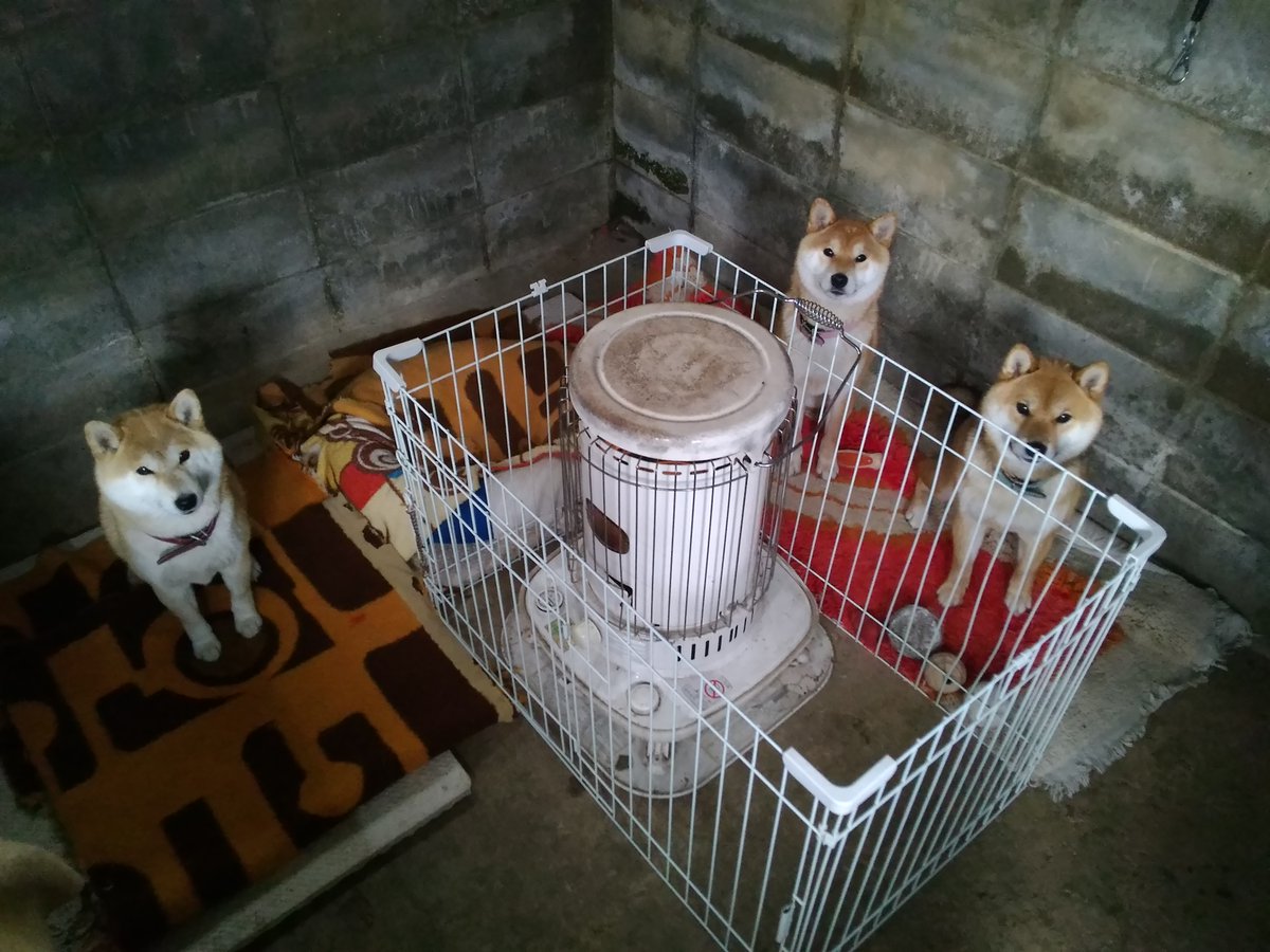 よく参られた旅のお方 セーブしたければ この燭台に火を灯すのです