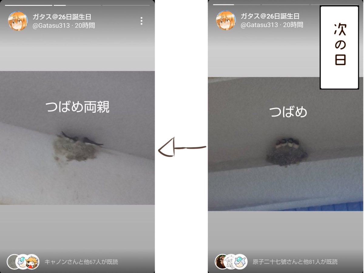 今日の出来事です 