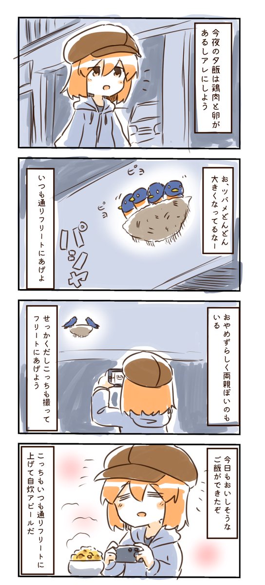 今日の出来事です 