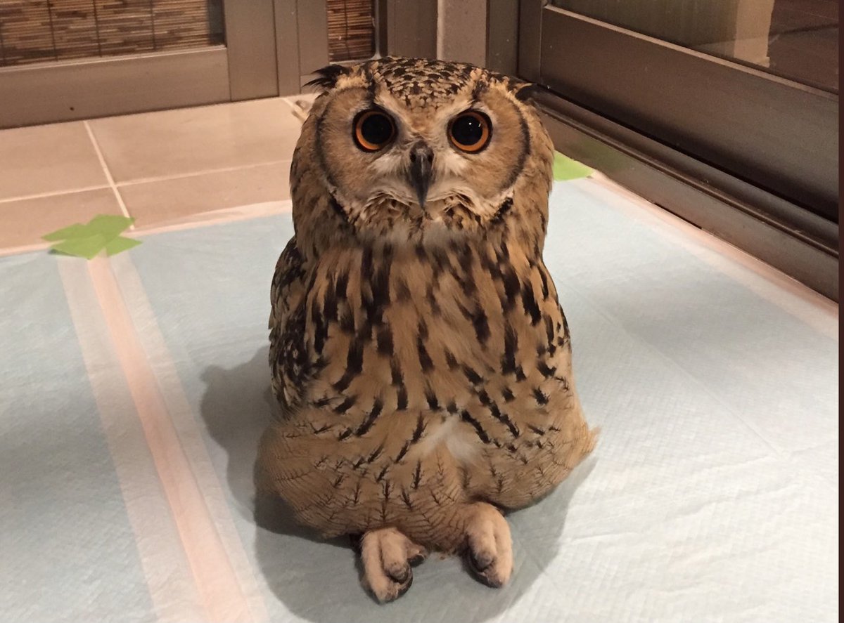 ちょっとそこに座りなさい 