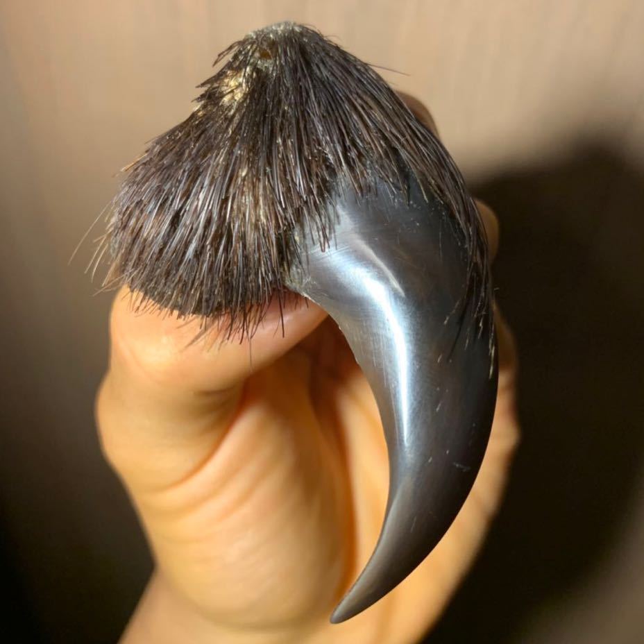 ヒグマの爪だって… こんなの生えた手で ヘビー級ボクサーの5倍のパンチ力