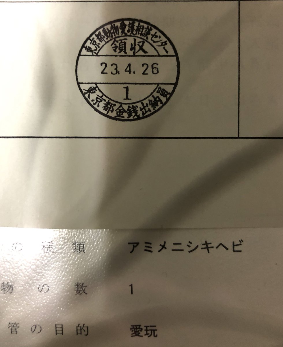 親指くらいの太さだったこの子がうちに来て10年  10年たとうが20年たとうがいつだって妥協しないぜ