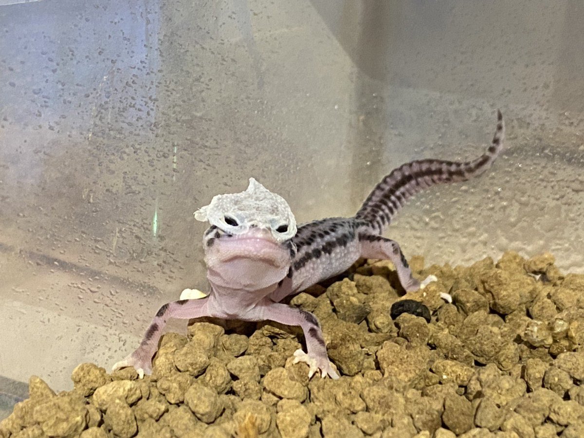 なんでそうなったのか！🤣 