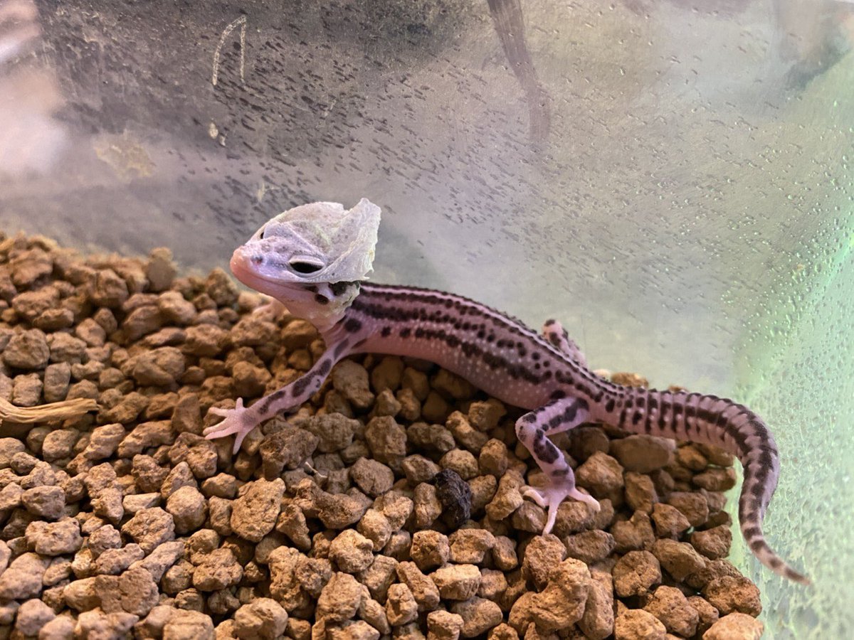 なんでそうなったのか！🤣 