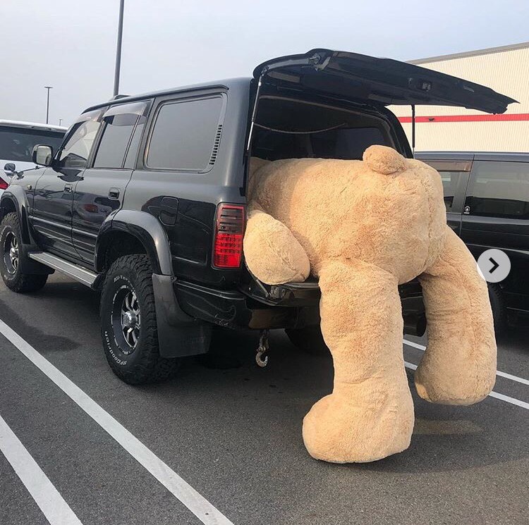 #あなたに来たとんでもないLINE   後輩がぬいぐるみ買ったけど乗らないのでトラックで助けにきて下さいって言われた時の画像です