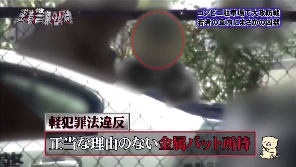 絶対野球しに行くだけ 