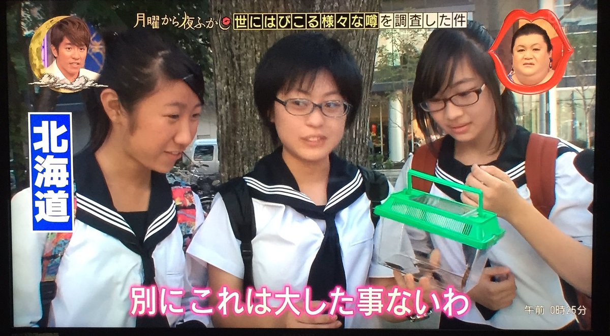 ゴキブリを見たことが無くて興味津々な北海道民 