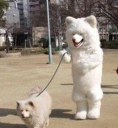 お散歩の時ワンちゃんと服を合わせている人って、お洒落でいいですね。 