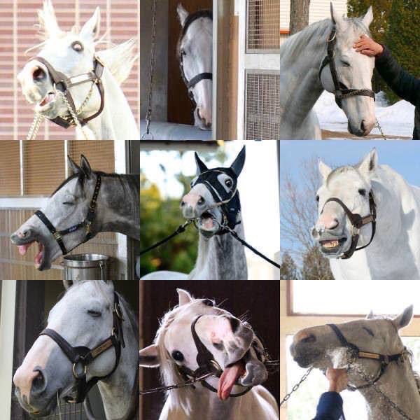 妹が描いたゴールドシップ可愛すぎるから見てくれ〜 