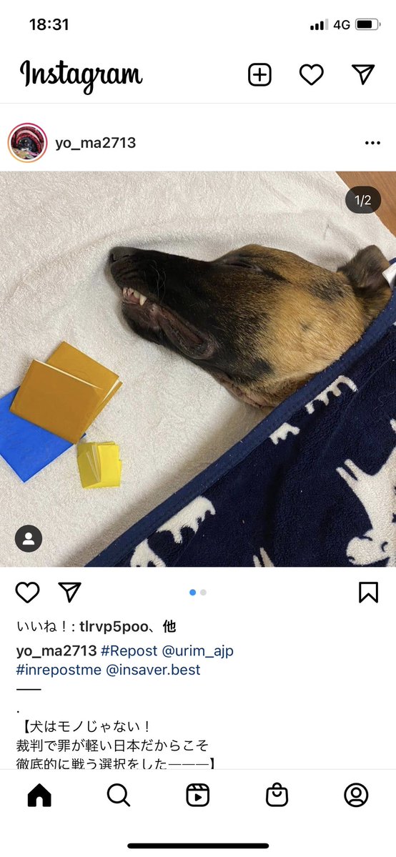 福岡にあるわんわんハウス預かった犬を虐待し死亡させる事件がこの数年間で何度も起きているらしいので福岡に住んでる愛犬家の皆様お気をつけください