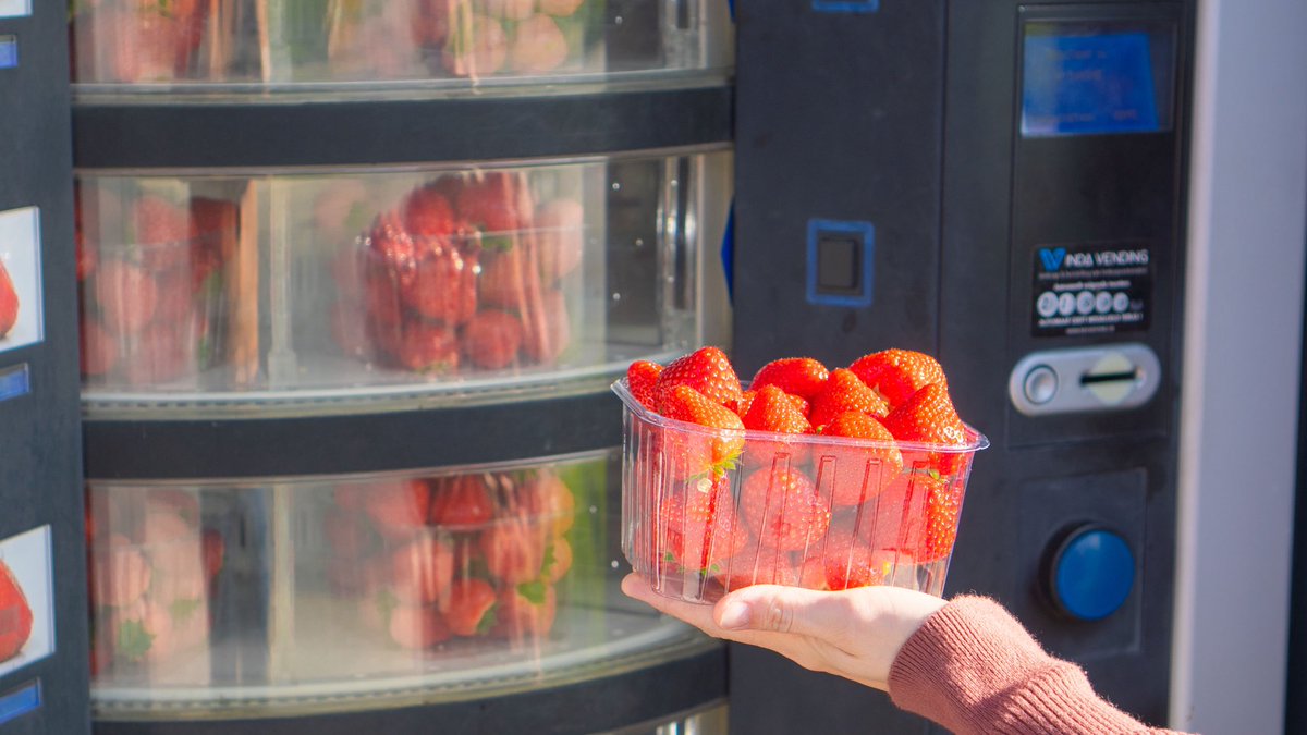 絶望のロックダウン7ヶ月目に突入したベルギーですが、自販機で買える苺が度を越して美味なので幸せに生きてます