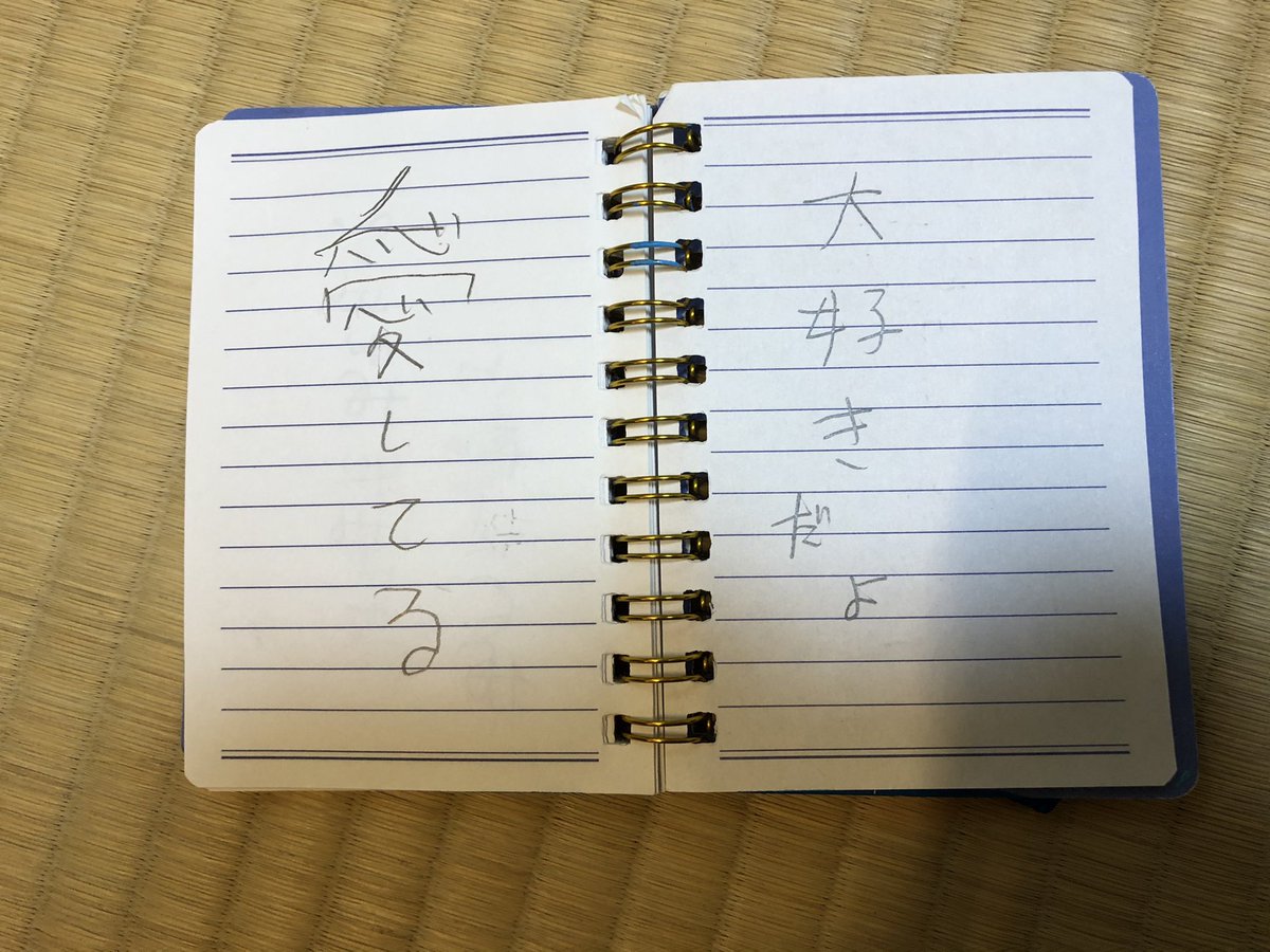 娘がいつも病院に持って行っていたカバンを片付けていたら、ドラマみたいな事が起きた 全然使ってないメモ帳、なんとなくパラパラと後ろからめくってみたら「ママ
