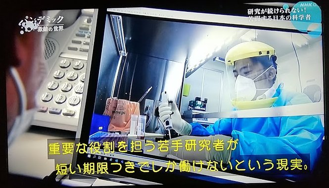 録画してたNHKスペシャル見てたら、世界でもっとも注目されたコロナに効く薬の論文を発表した、鹿児島大学の研究者が非正規雇用で、3月に契約期間が切れて今後も雇用が続くかわからないし、週末は薬剤師のバイトしないと食べていけないと言ってて、こんなんじゃ日本でワクチンなんか出来るわけないな… 