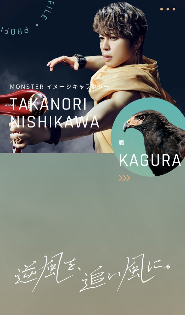温泉で使ったドライヤーが爆風で一瞬で乾いたからなにこれ最高買お〜と思ってメーカーのサイト見に行ったらイメージキャラクターが西川くんだったし鷹の紹介までしてあったから納得して買った 