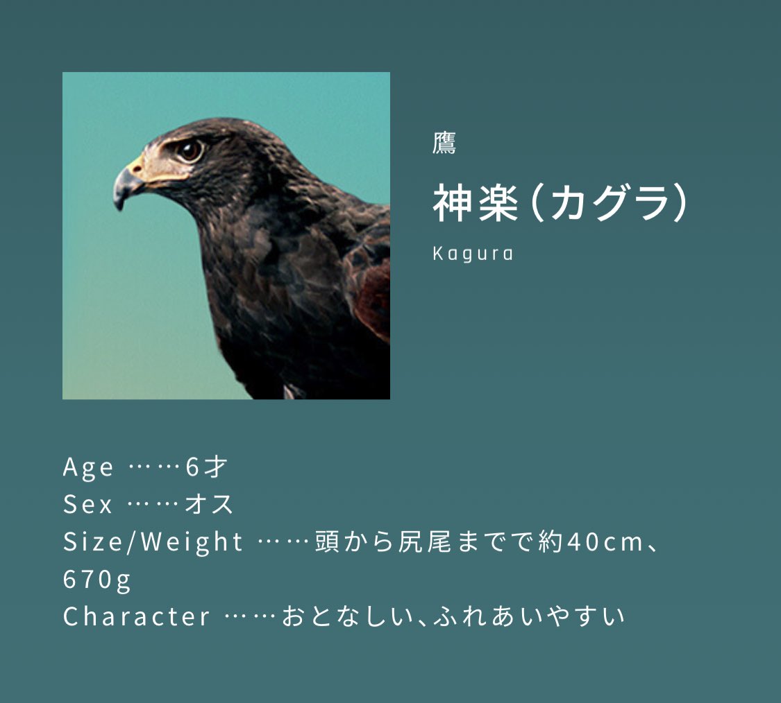 温泉で使ったドライヤーが爆風で一瞬で乾いたからなにこれ最高買お〜と思ってメーカーのサイト見に行ったらイメージキャラクターが西川くんだったし鷹の紹介までしてあったから納得して買った 