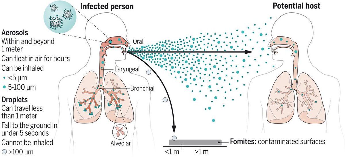 コロナパンデミックで加速した科学や流体力学の知見から、従来の飛沫、空気感染(=airborne transmission）の定義の再考を行うべきとするレビュー(参考文献なんと206!)が、今朝のScience誌に