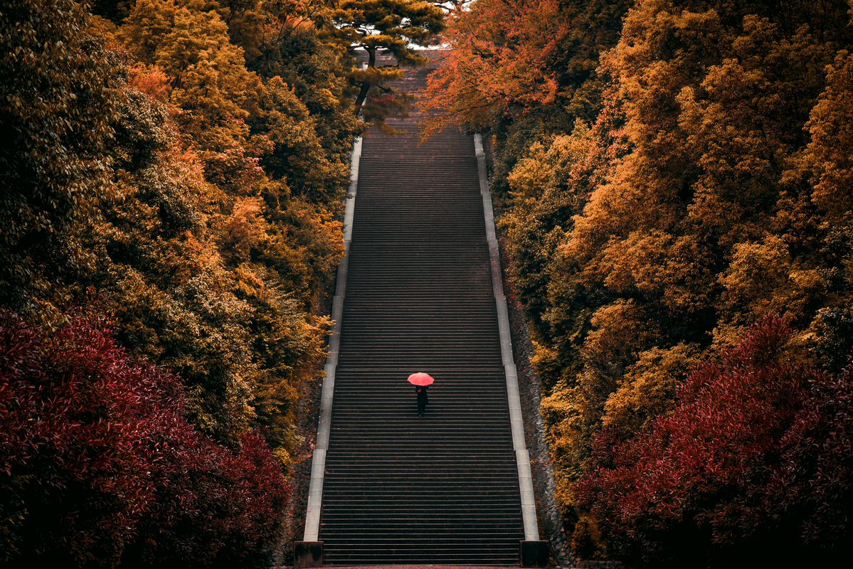 京都駅ビル大階段より圧巻な大階段が京都にはあります。 
