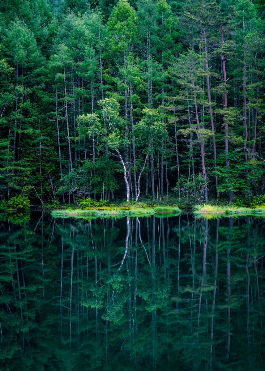 新緑が美しい長野日本美。 