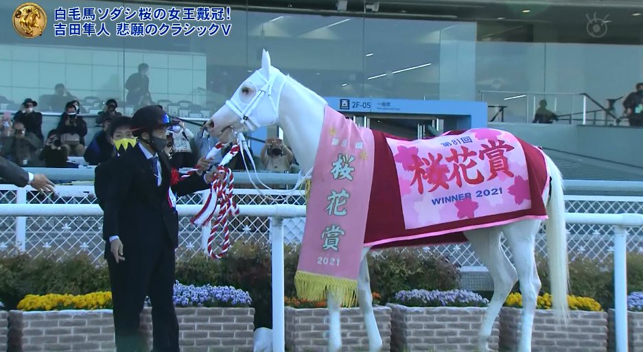 この桜花賞の見た目の馬着とレイ見たことないわ、すげえ