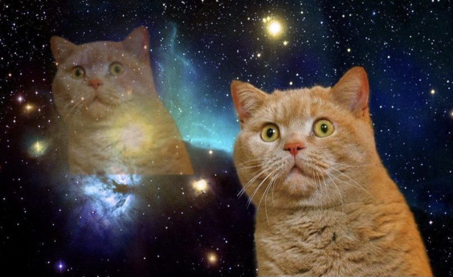 新一万円札、既視感あると思ったらこれだった