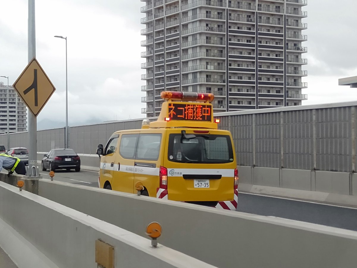 事故渋滞1キロってなっててやっとこさ事故現場まで着いたら🤔 