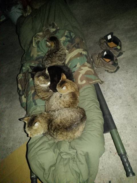 ガレージで寝た結果。 