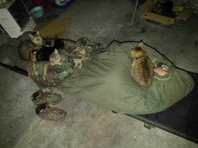 ガレージで寝た結果。 