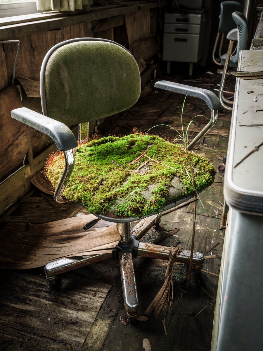  廃校になった小学校に取り残されていた椅子なんだが、座面の苔の生え具合に廃校後から現在までの時間の長さを感じた