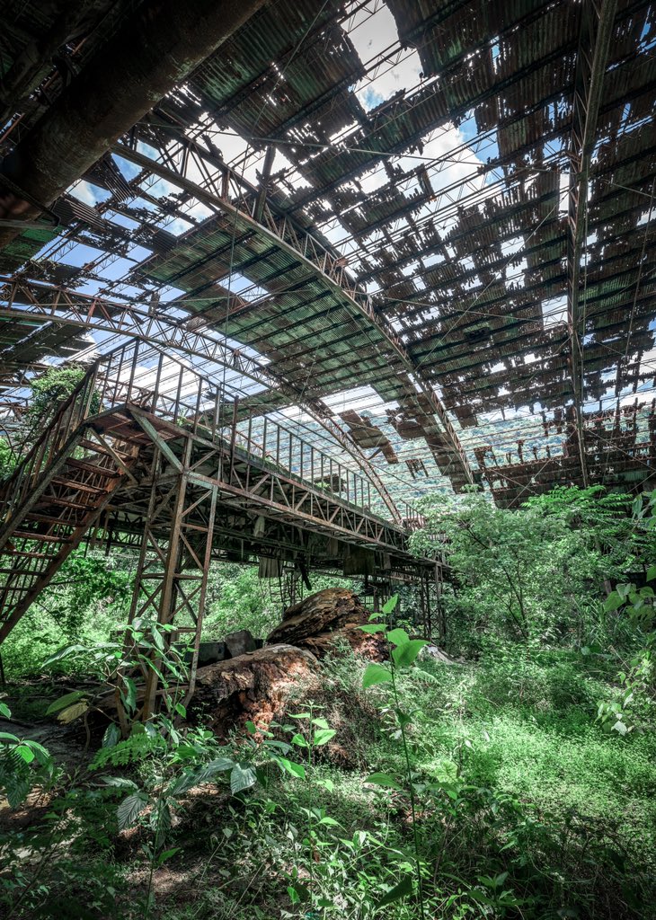 絵に描いた様な荒廃。工場廃墟。 